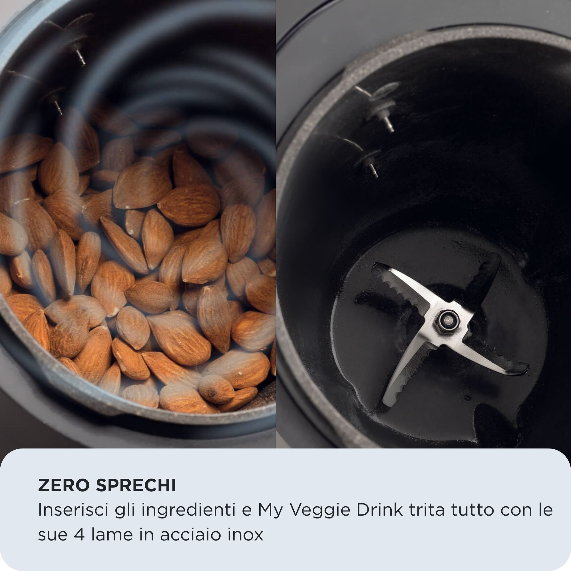 Mandorle nel recipiente e quattro lame in acciaio inox della Ariete 650